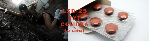 PSILOCYBIN Лабытнанги