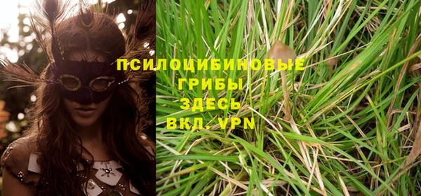 PSILOCYBIN Лабытнанги