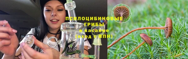 PSILOCYBIN Лабытнанги