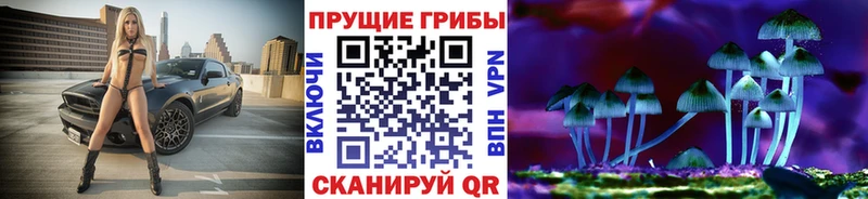 Галлюциногенные грибы GOLDEN TEACHER  Шебекино 