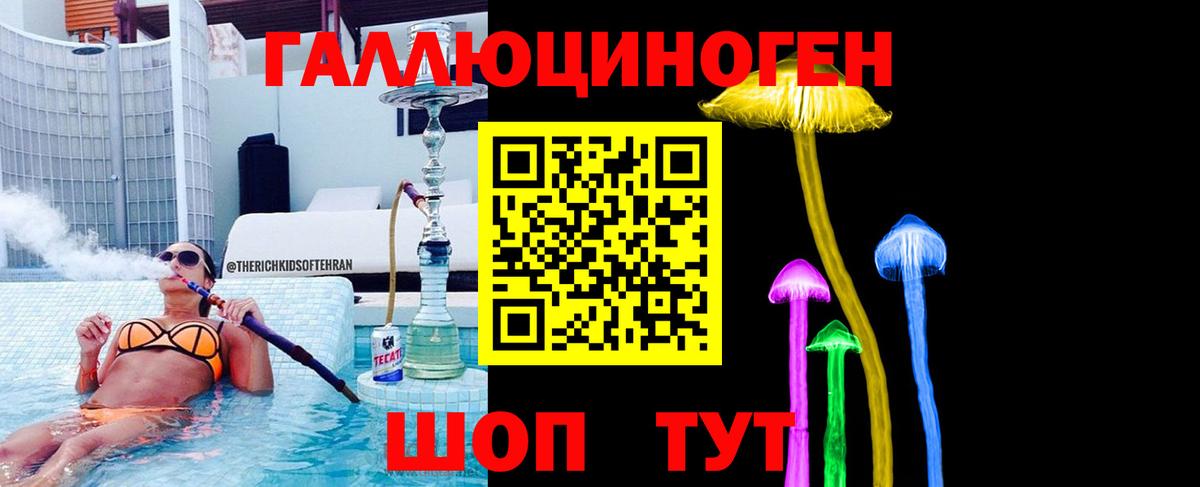 Галлюциногенные грибы мицелий  Шебекино  Псилоцибиновые грибы Cubensis 