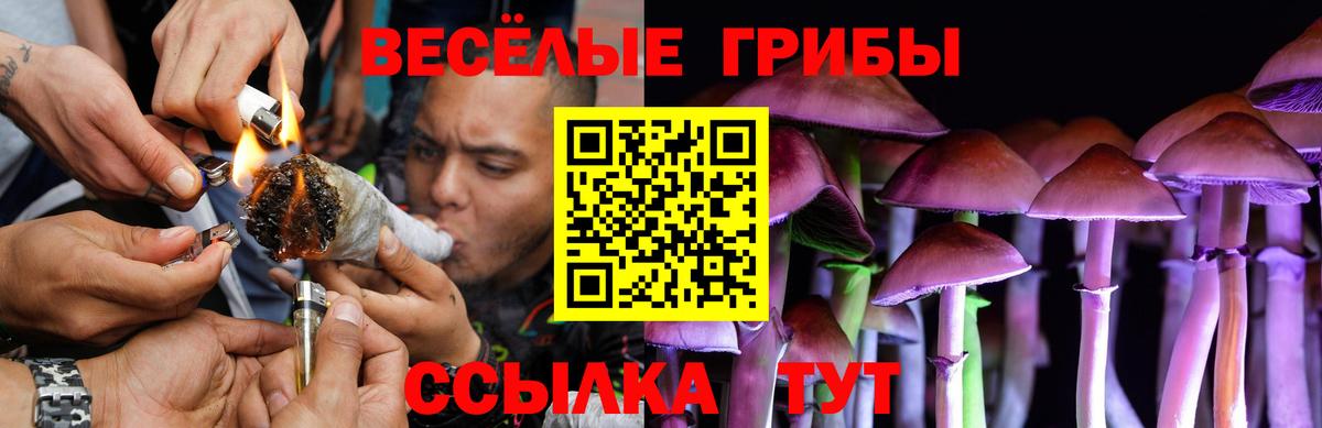 Псилоцибиновые грибы Psilocybe Шебекино