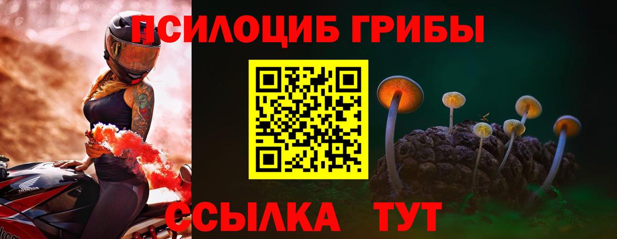 Псилоцибиновые грибы Psilocybe Шебекино